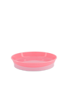 Plate 6m+ Bleikur